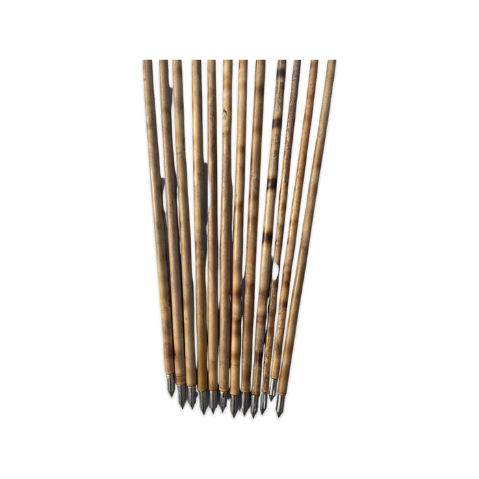 cane arrows set of 12