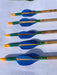 bamboo arrows