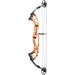 Hoyt Prevail 37 X3 Compound Bow