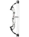 Hoyt Prevail 40 SVX Compound Bow