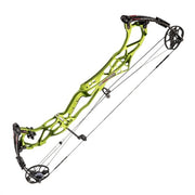 Hoyt Pro Force Compound Bow