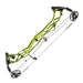 Hoyt Pro Force Compound Bow