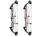 Hoyt Stratos 36 HBT Compound Bow