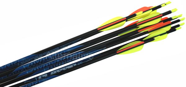 AVALON | CLASSIC CARBON ARROWS COMPLETE | ARROWS & ACCESSORIES  | ARROWS CARBON & POINTS