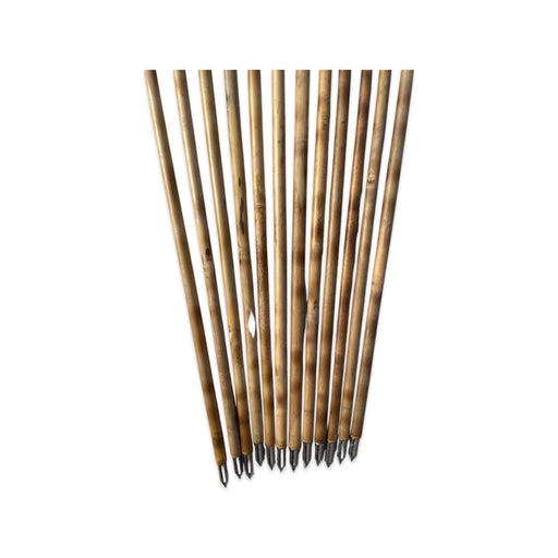 cane arrows