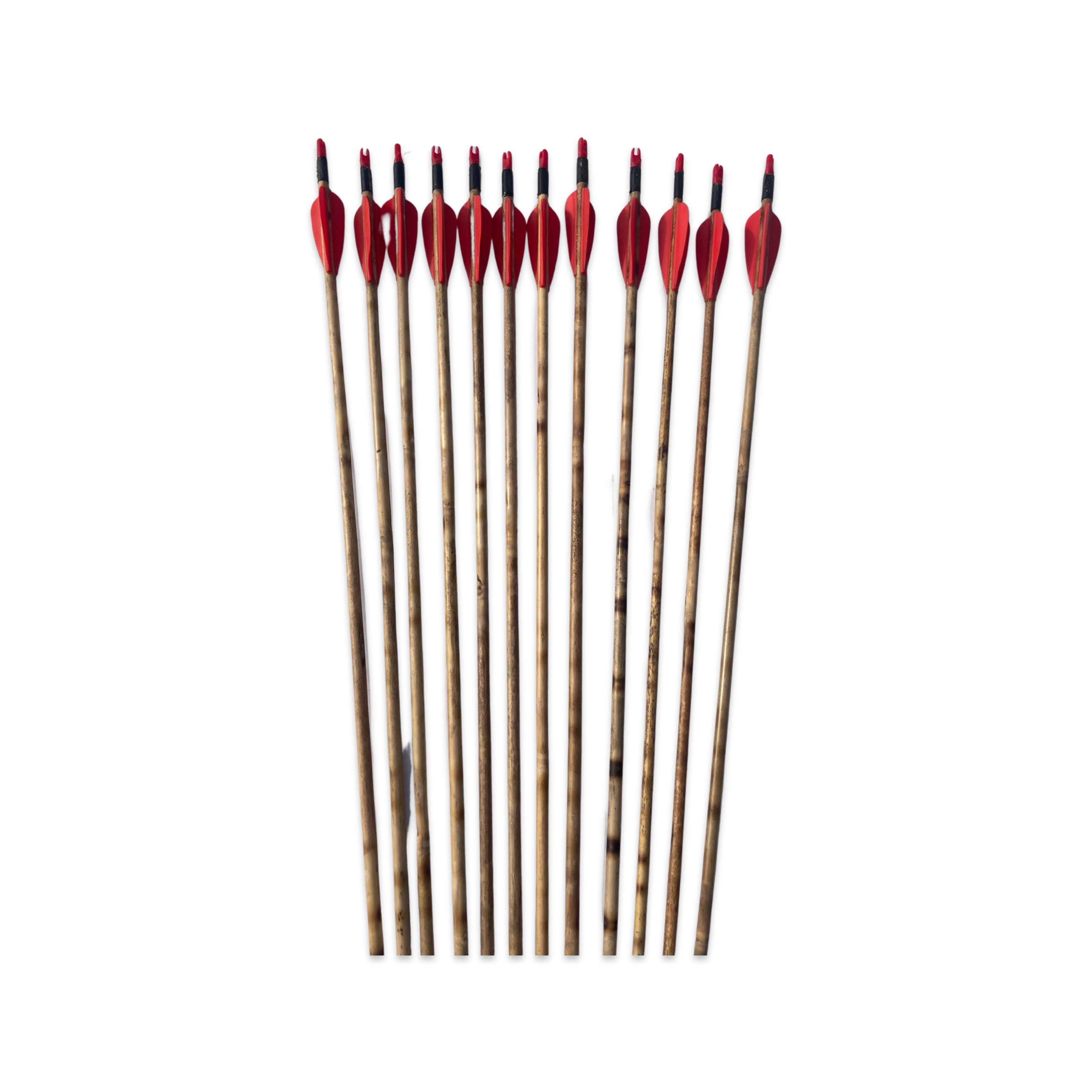 Cane Reed Arrows Bamboo arrows, wooden arrows, cane arrows — ArcheryKart