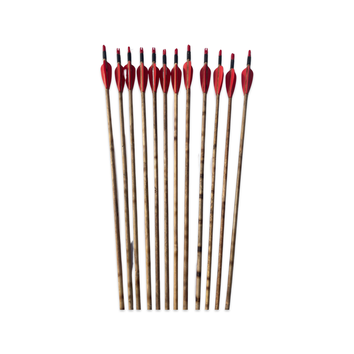 wooden arrows set of 12